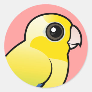 Yellow Pacific Parrotlet Classic Round Sticker