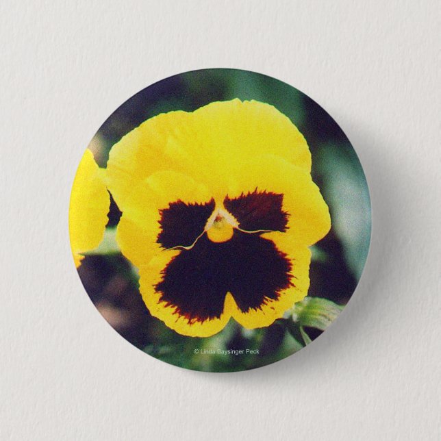 Yellow Pansy Pinback Button (Front)