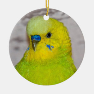Yellow Parakeet Ornament