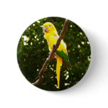 Yellow Parrot Button