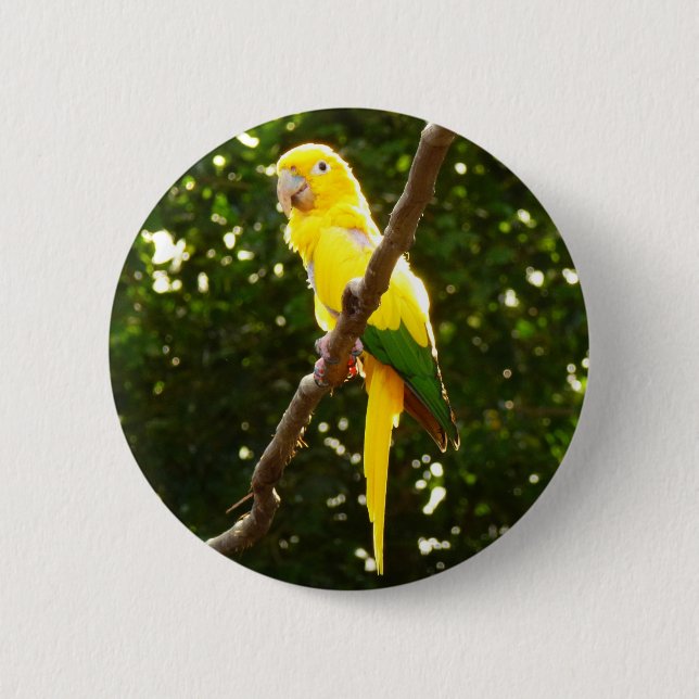 Yellow Parrot Button (Front)