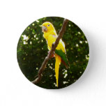 Yellow Parrot Button