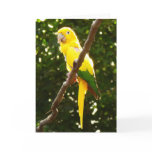 Yellow Parrot Card