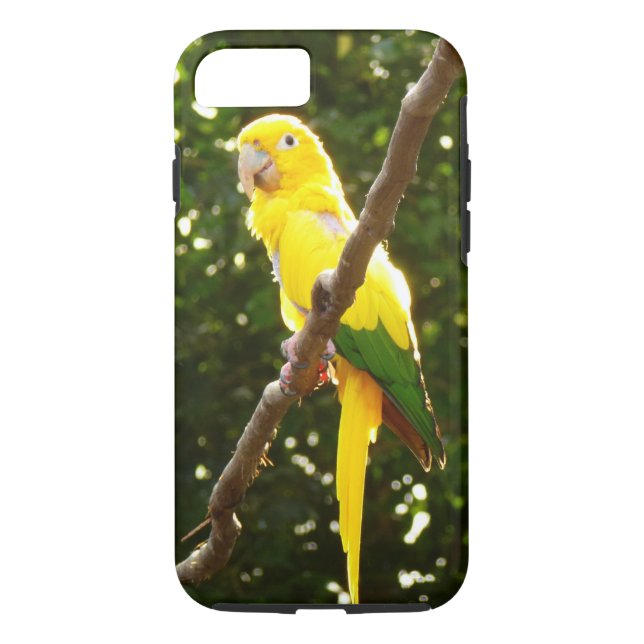 Yellow Parrot Case-Mate iPhone Case (Back)