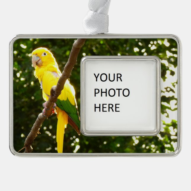 Yellow Parrot Christmas Ornament (Front)