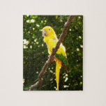 Yellow Parrot Jigsaw Puzzle