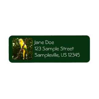 Yellow Parrot Label