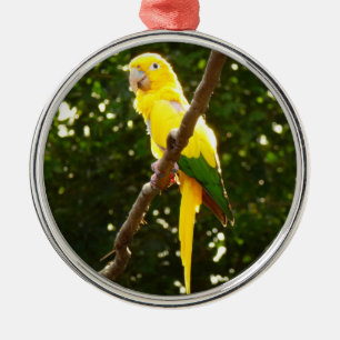 Yellow Parrot Metal Ornament