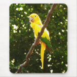 Yellow Parrot Mouse Pad