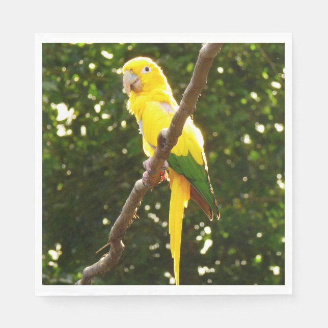 Yellow Parrot Napkins (Front)
