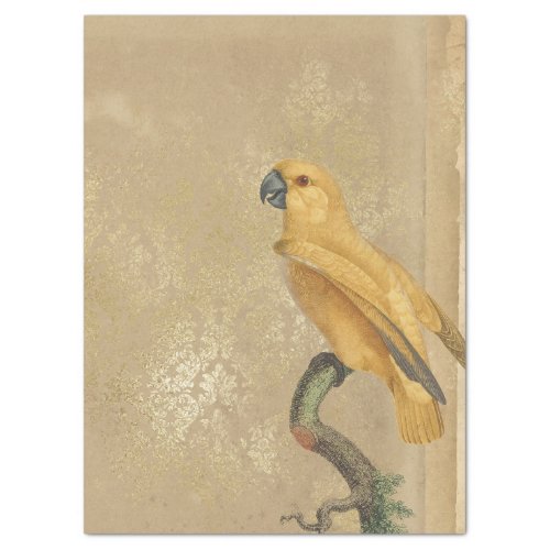 Yellow Parrot on Tan and Gold Decoupage Tissue Paper