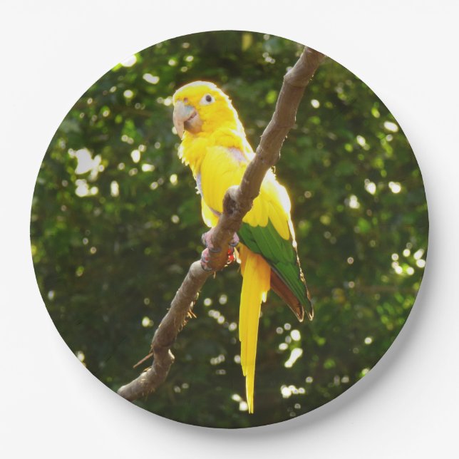 Yellow Parrot Paper Plates (Front)