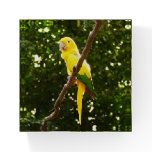 Yellow Parrot Paperweight