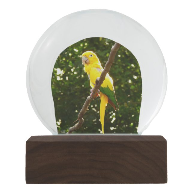 Yellow Parrot Snow Globe (Front)