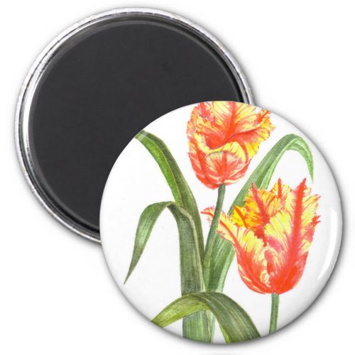 Yellow Parrot Tulips Flower Floral Art Magnet