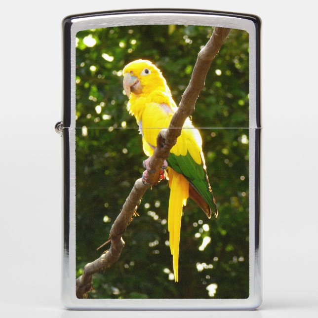 Yellow Parrot Zippo Lighter (Front)