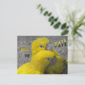 Yellow Parrots Couple SAVE the DATE Postcard (Standing Front)