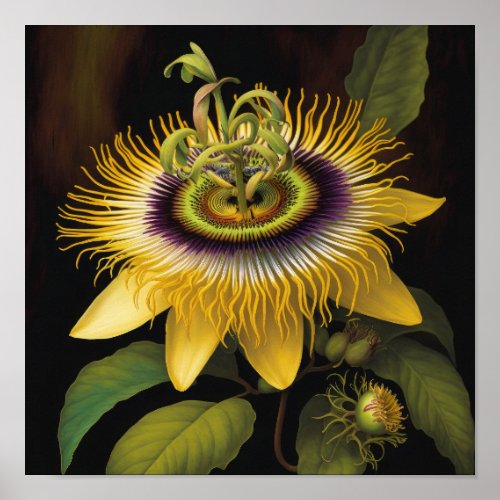 Yellow Passion Flower Art Print Poster