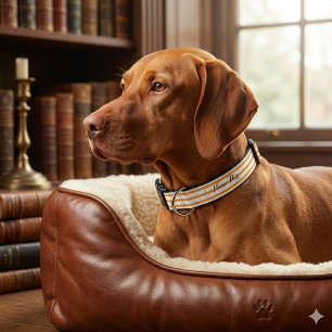 Yellow Pattern Bright Stylish Custom Pet Collar
