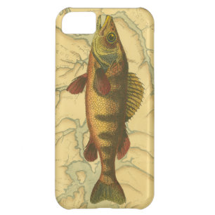 Yellow Perch on Map iPhone 5C Cover