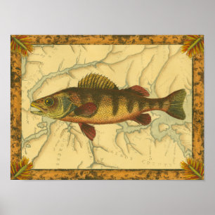 Yellow Perch on Map Poster