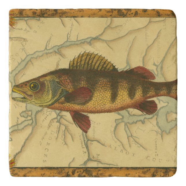 Yellow Perch on Map Trivet (Front)
