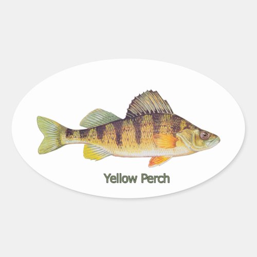 Yellow Perch titled Oval Sticker