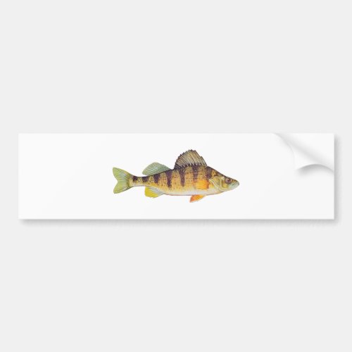 Yellow Perch untitled Bumper Sticker