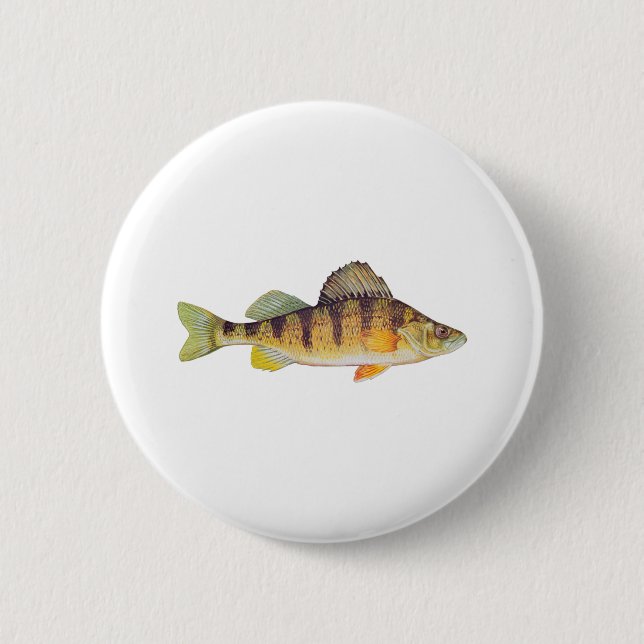 Yellow Perch (untitled) Button (Front)