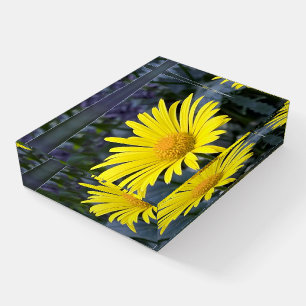 Yellow petals paperweight