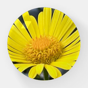 Yellow petals paperweight
