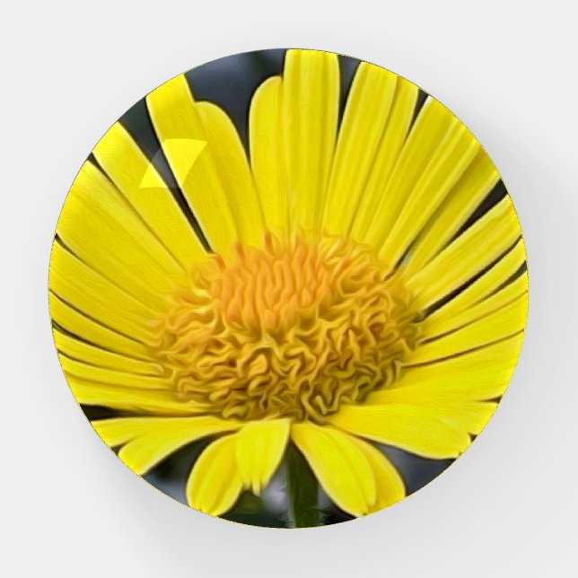 Yellow petals paperweight (Front)