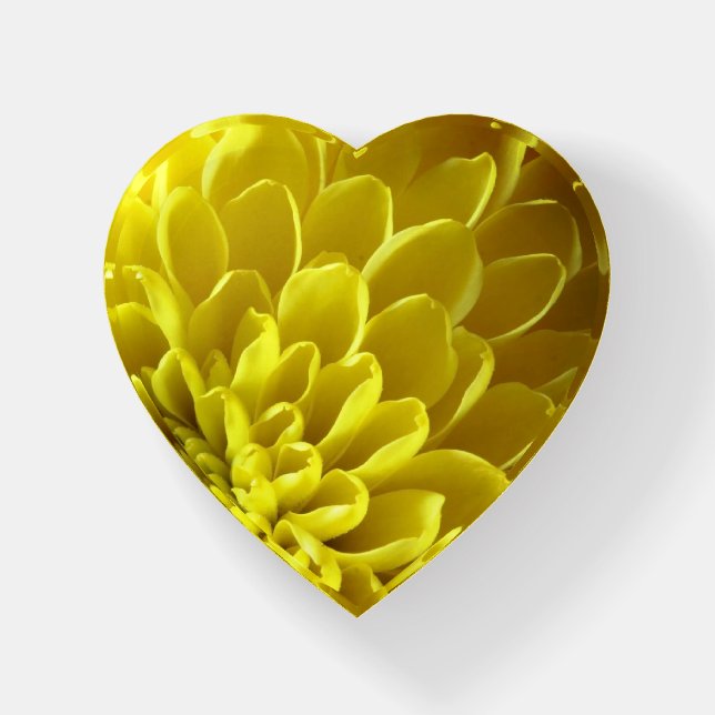 Yellow Petals Paperweight (Front)