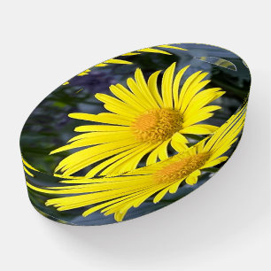 Yellow petals paperweight