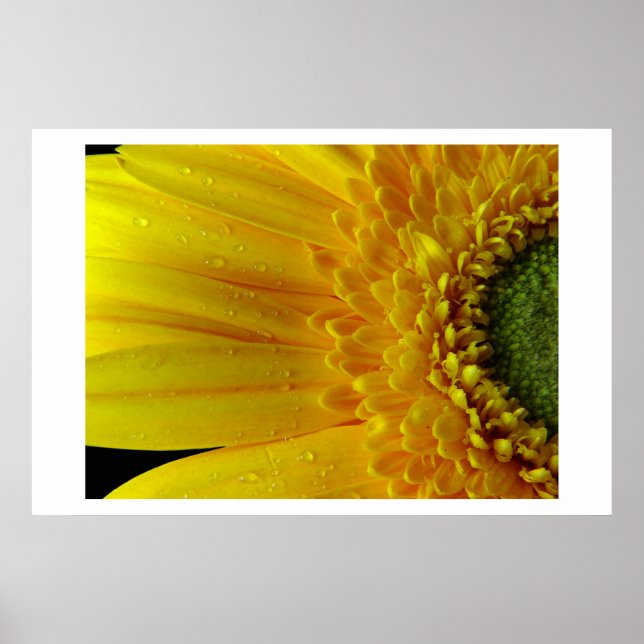 Yellow Petals Poster (Front)