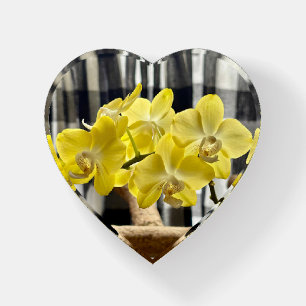 Yellow Phalaenopsis Orchid Flowers Paperweight