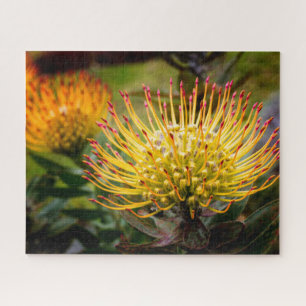 Yellow Pin Cushion of Kula Jigsaw Puzzle