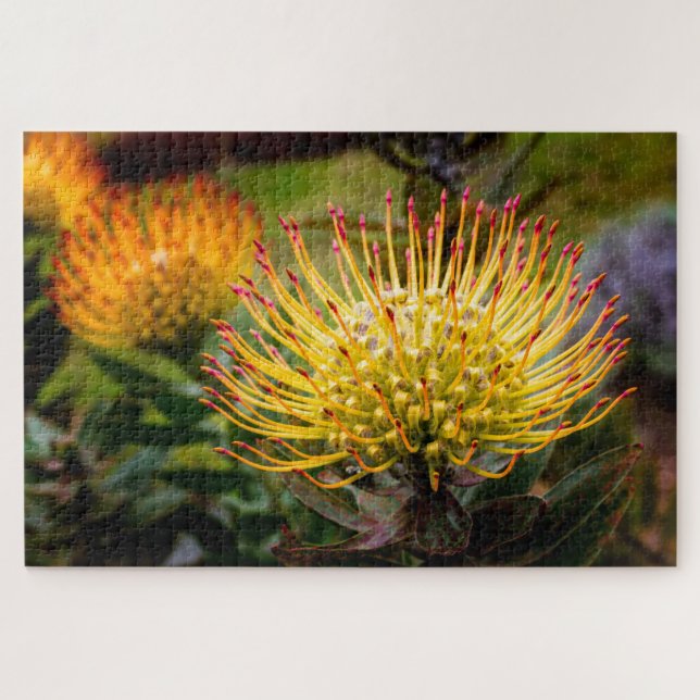Yellow Pin Cushion of Kula Jigsaw Puzzle (Horizontal)