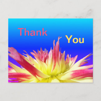 Yellow Pink Dahlia Blue THANK YOU Postcard