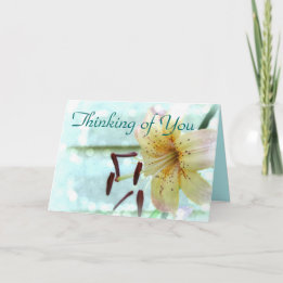 Yellow/Pink Lily Thinking of You Card