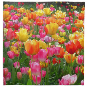 Yellow pink orange red tulips cloth napkin