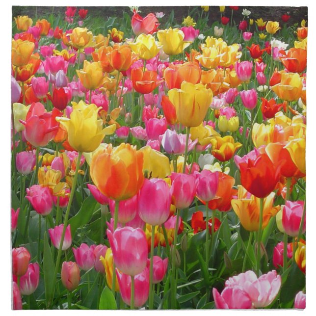 Yellow pink orange red tulips cloth napkin (Front)