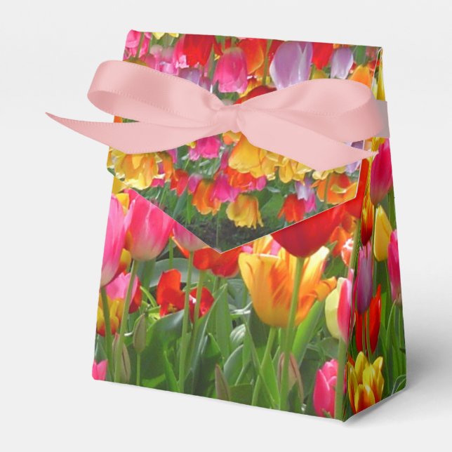 Yellow pink orange red tulips favor boxes (Front Side)