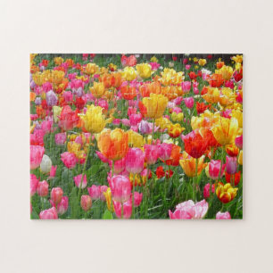 Yellow pink orange red tulips jigsaw puzzle