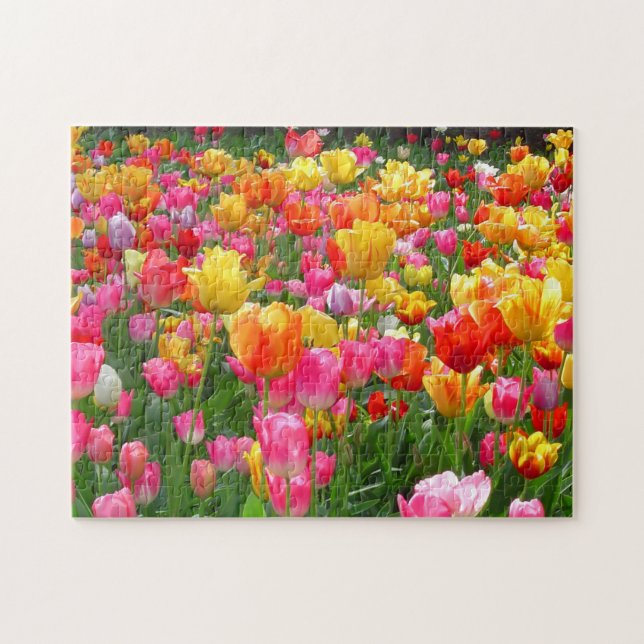 Yellow pink orange red tulips jigsaw puzzle (Horizontal)