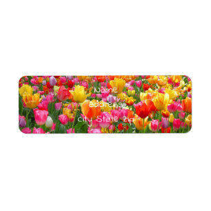 Yellow pink orange red tulips label