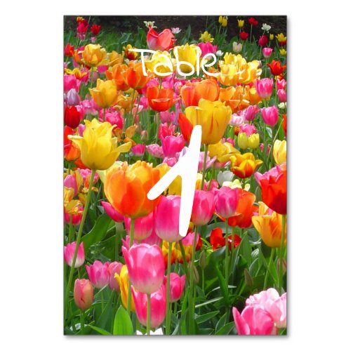 Yellow pink orange red tulips table number