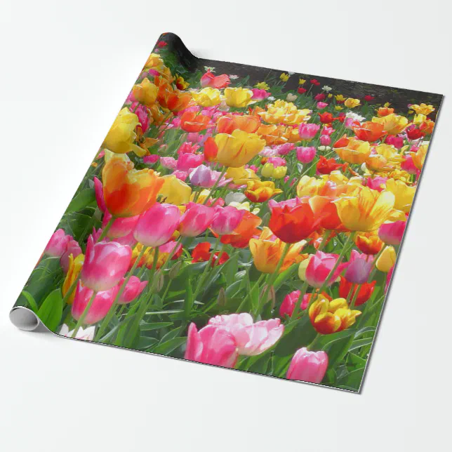 Yellow pink orange red tulips wrapping paper | Zazzle