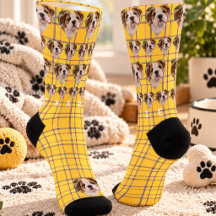 Yellow Pink Plaid Custom Pet Photo Name