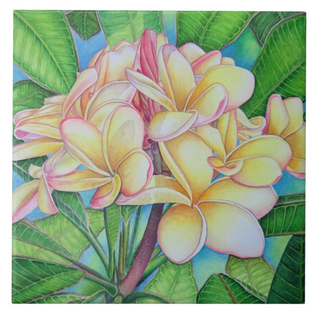 Yellow Pink Plumeria Ceramic Tile (Front)